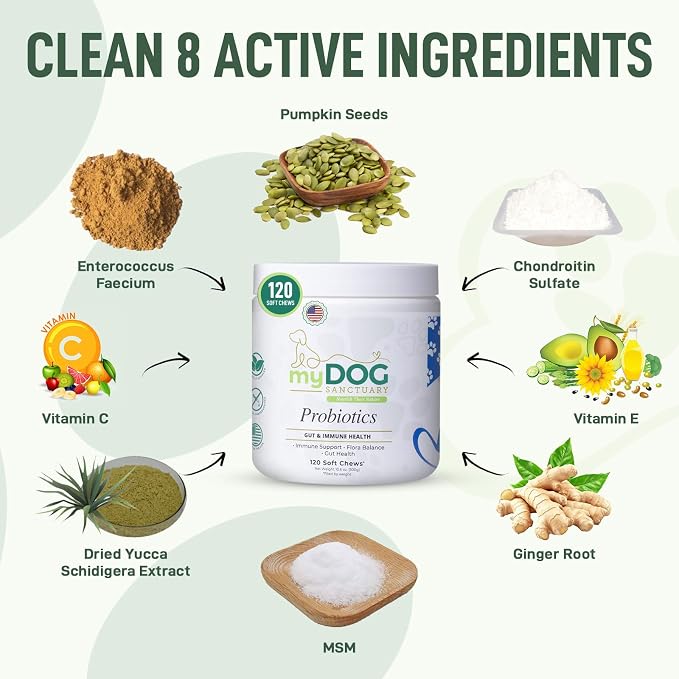 Probiotics for Dogs – 120 Soft Chews, Bacon Flavor | Digestive Enzymes, Gut Health & Immune Support with Pumpkin Seed & Ginger | for All Breeds