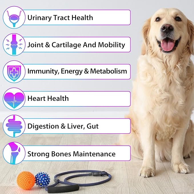 15-in-1 Dog Multivitamin Drops, Liquid Multivitamin Drops for Dogs, 2 oz | with Glucosamine, MSM & Omega for Joint, Heart, Immune & Skin Health, Easy Liquid Drops for Picky Eaters, All Ages, Breeds