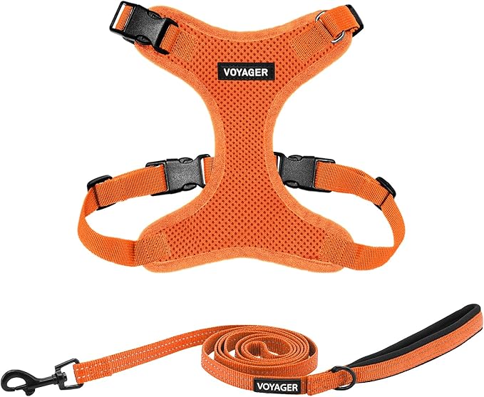 Best Pet Supplies Voyager Step-in Lock Pet Harness w Reflective Pet Leash Combo Set with Neoprene Handle 5ft - Supports Small, Medium and Large Breed Puppies/Cats - Orange Set, XL