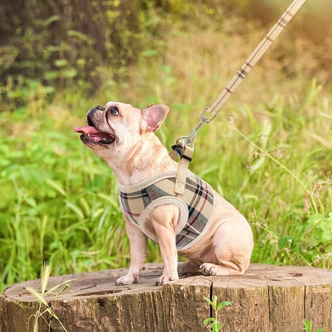 PUPTECK Soft Mesh Dog Harness Small Sized and Leash Set Step-in Plaid Puppy Padded No Pull Vest Harness for XS Dogs Cats Outdoor Walking, Beige S, Chest 14"-15"