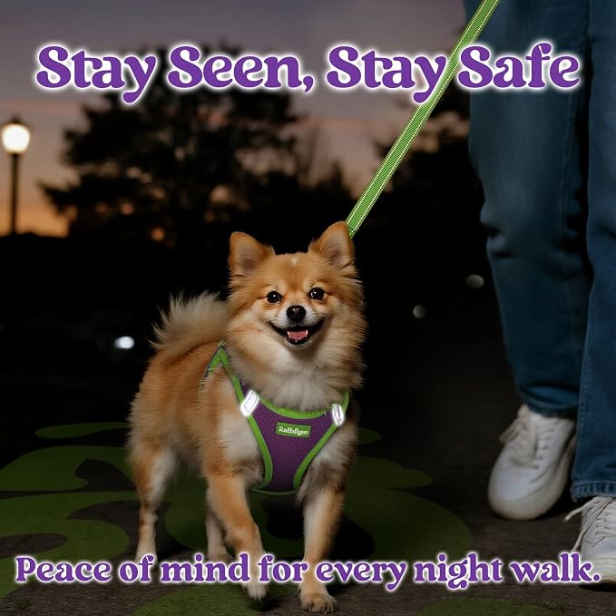 rabbitgoo Dog Harness Small Sized and Leash Set, Step in Soft Vest | Breathable Mesh, Easy Wear with Hook & Loop, Light and Reflective for Walking, Multi-colored, Purple & Green, L