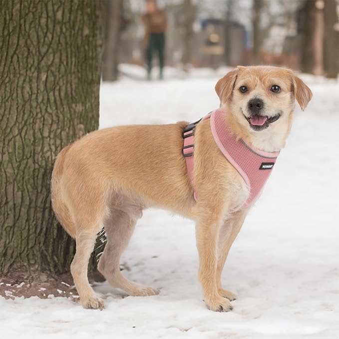 Best Pet Supplies Voyager Aerolite Over the Head Dog Harness, No Pull Breathable Air Mesh Vest, Quick Dry with Reflective Stitching, Adjustable Escape Resistant Harness - Pink, X-Small