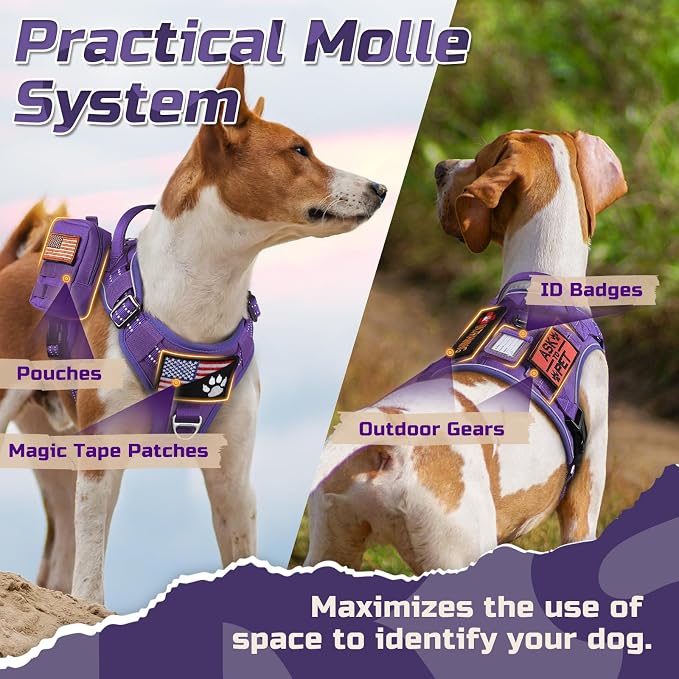 rabbitgoo Tactical Dog Harness for Medium, No Pull Military Service Vest | Molle & Handle, Heavy Duty, Adjustable, Reflective Straps, Easy Control for Training Walking, Purple, Medium