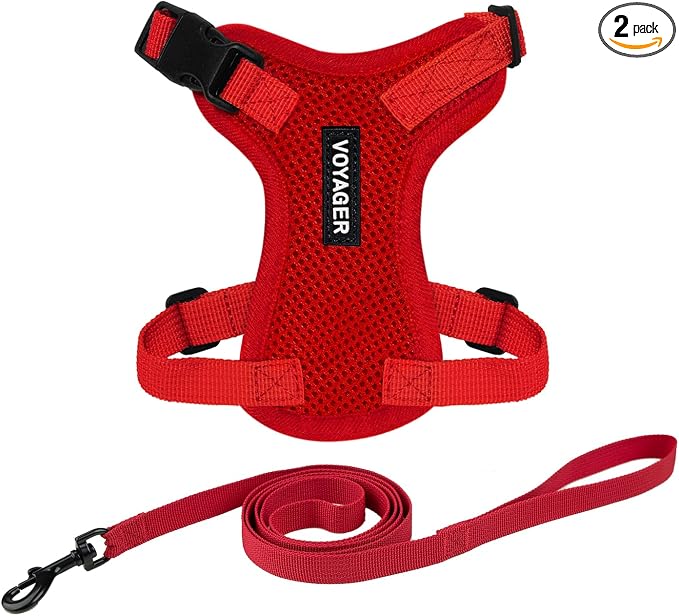 Voyager Escape-Proof Step-in Lock Cat Harness & 5ft Neoprene-Handle Leash Set All-Weather Mesh with Reflective Stitching for Small to Large Cats by Best Pet Supplies, Red, XXS