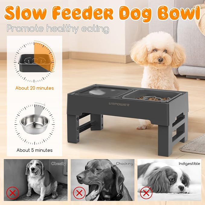 URPOWER 2-in-1 Elevated Slow Feeder Dog Bowls with No-Spill Water Bowl, 4 Height-Adjustable Raised Dog Bowls, Non-Slip Food and Water Bowls with Stand for Small, Medium, Large Dogs, Cats and Pets