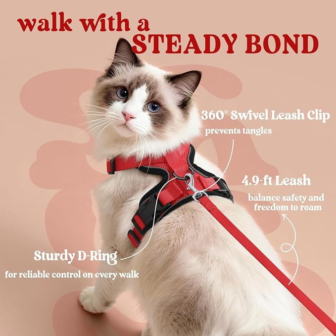 rabbitgoo Cat Harness and Leash Set, Escape Proof Vest, Red | Soft Breathable Mesh, Easy Adjustable Fit, Snap Buckles, Sturdy Clip, Reflective Strips, for Average Cats Walks, S