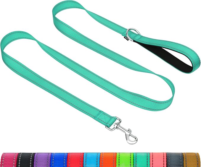 Taglory Reflective Dog Leash for Medium Large Dogs, 1in x 5ft, Turquoise | Ideal for Night Walking, Strong for Sudden Pulls, Lightweight & Gentle on the Neck, Soft Padded Handle