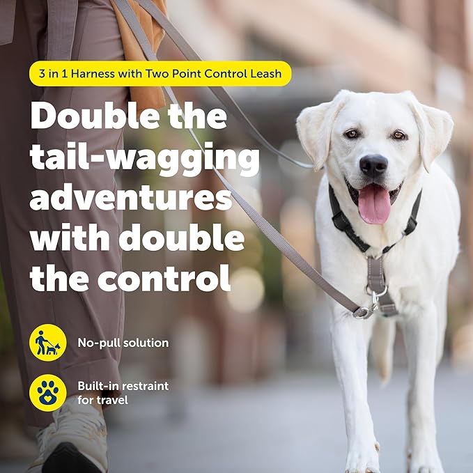 PetSafe Easy Walk 3 in 1 Harness with Two Point Control Leash, Small, Black | Front & Back Leash Attachments Reduce Pulling, 5 Adjustment Points, Includes Car Control Strap, Reflective Nylon