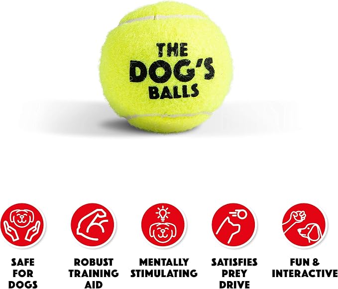 The Little Dog’s Balls Small Dog Tennis Balls 6-Pack Yellow Floats in Water | Our fetch balls combine non-abrasive felt exterior and a thicker rubber core Durable Dog Toy for Outdoor Play & Training