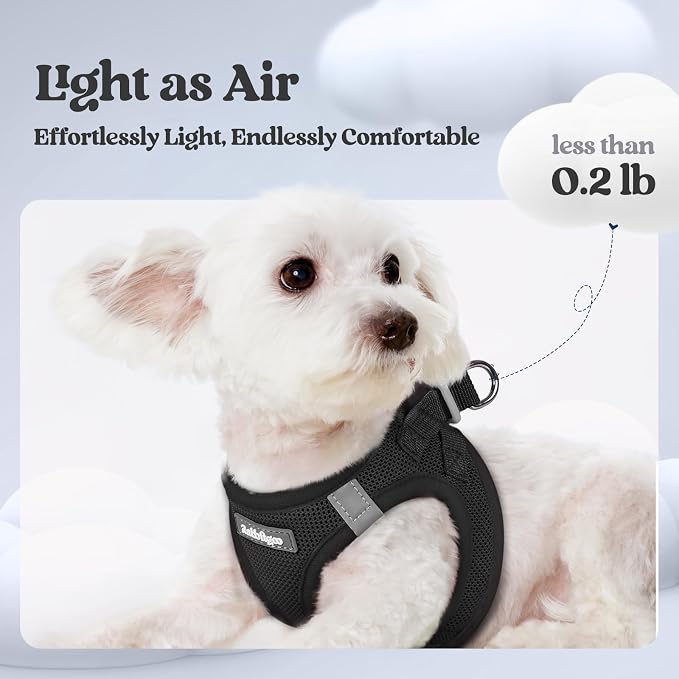 rabbitgoo Dog Harness Small Sized and Leash Set, Step-in Puppy Pet Vest | Light, Soft, Breathable Air Mesh, Easy on and Remove with Hook & Loop, Secure Reflective for Walking, Black XXS