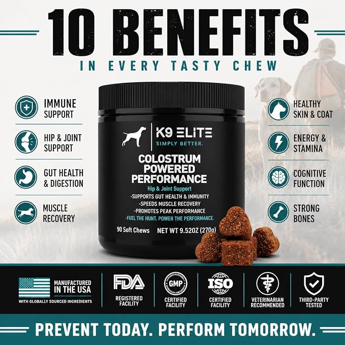 Hip & Joint Supplement for Dogs | Glucosamine, Chondroitin, Green Lipped Mussel, Colostrum, Collagen & Omega-3 | Daily Wellness, Mobility, Gut & Immune Support |