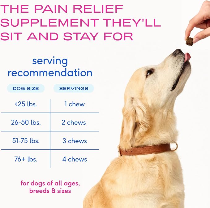Native Pet Inflammatory Care - Pain Relief for Dogs - Green-Lipped Mussel, Turmeric & Collagen for Dogs - Hip and Joint Supplement Supports Healthy Inflammatory Response & Joint Comfort - 120 Chews