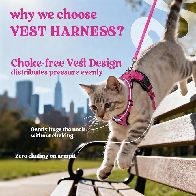 rabbitgoo Cat Harness and Leash Set, Escape Proof Vest, Rose Red | Soft Breathable Mesh, Easy Adjustable Fit, Snap Buckles, Sturdy Clip, Reflective Strips, for Small & Average Cats Walks, Xs