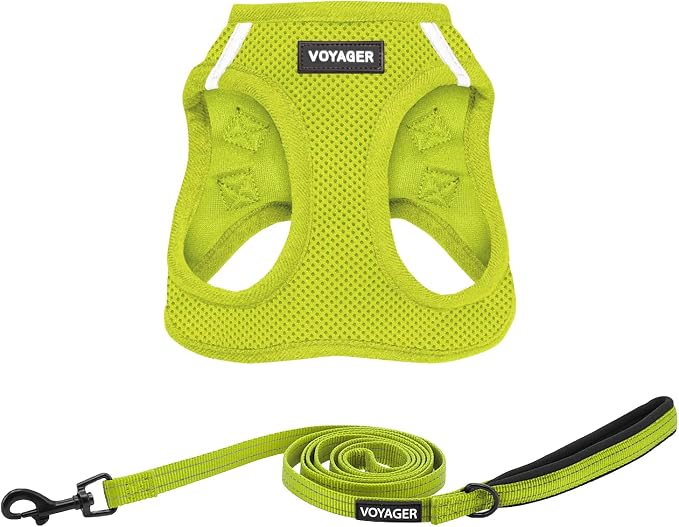 Best Pet Supplies Voyager Step-in Air All Weather Mesh Harness and Reflective Dog 5ft Leash Combo with Neoprene Handle, for Small, Medium and Large Breed Puppies - Lime Green, Medium