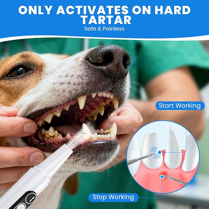 Dog Plaque Remover for Teeth,with UV Sanitizing Chamber | Stores & Sanitizes Metal Tips After Use,6 Cleaning Modes for Different Needs,dog teeth cleaning,plaque remover for teeth