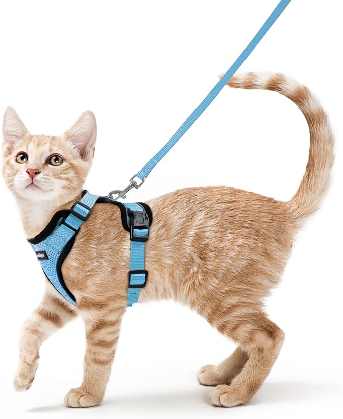rabbitgoo Cat Harness and Leash Set, Escape Proof Vest, Light Blue | Soft Breathable Mesh, Easy Adjustable Fit, Snap Buckles, Sturdy Clip, Reflective Strips, for Average Cats Walks, S