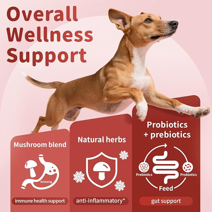 Dog Allergy Chews - Paw Licking, Seasonal Allergy & Itch Relief - Probiotics for Dogs Immune & Gut Health with Turkey Tail Mushroom, Pumpkin - Bacon Flavor - 90 Count
