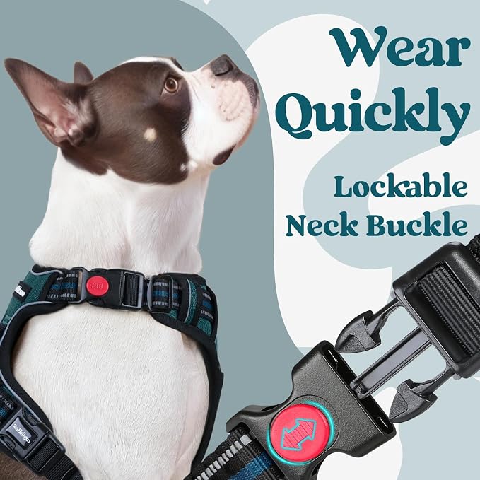 rabbitgoo Dog Harness Small Sized, Updated Easy On & Off with 3 Buckles | No Pull No Choke, Walking with 2 Clips and Handle, Adjustable Soft Reflective, Blue Coral, Small