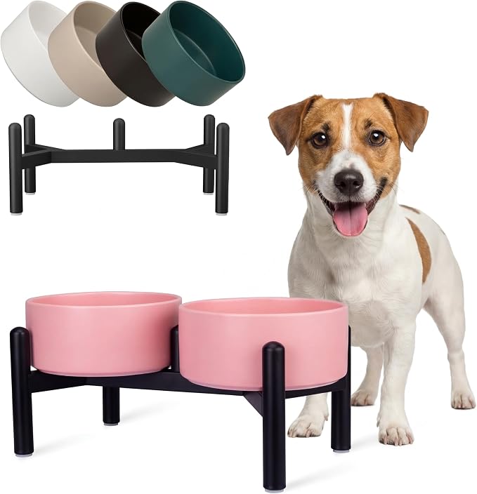 Raised Ceramic Dog Bowl Set - Elevated Double Dishes with Stainless Steel Stand - Food and Water Bowls for Small to Medium Dogs - Each Holds 3.5 Cups (29.57 fl oz) - Pink