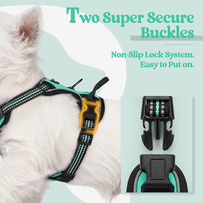 rabbitgoo Dog Harness, No Pull for Small Dogs with 2 Leash Clips, Pet Vest | No Choke with Handle, Adjustable Soft Padded, Reflective, Easy Control for Walking, Turquoise, X-Small