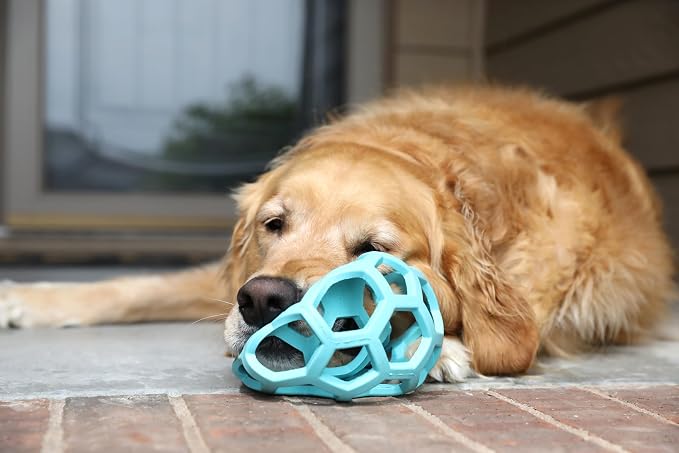 JW Pet HOL-ee Roller Dog Puzzle Ball, Large 5.5in, Natural Rubber, Blue | Puzzle Ball Design Dog Toy for Interactive Play and Chasing Fun