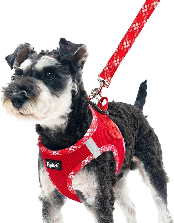 PUPTECK Dog Harness and Leash Set for Small Medium Dogs No Pull Step-in Soft Mesh Puppy Cat Vest Harnesses Reflective at Night, Red, M