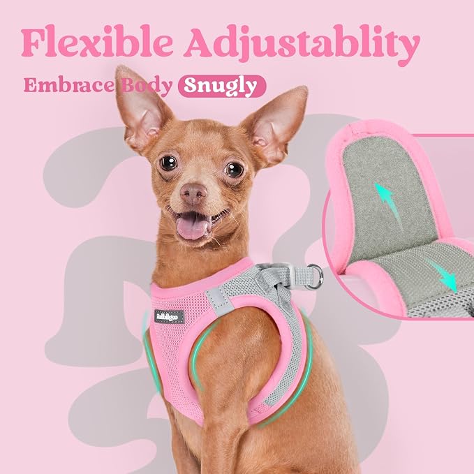 rabbitgoo Step-in Small Dog Harness, Puppy Vest for Small Sized Pet | Easy Put on and off, Lightweight, Soft, Breathable Quick-Dry Air Mesh for Comfortable Secure Walking, Light Pink & Gray M