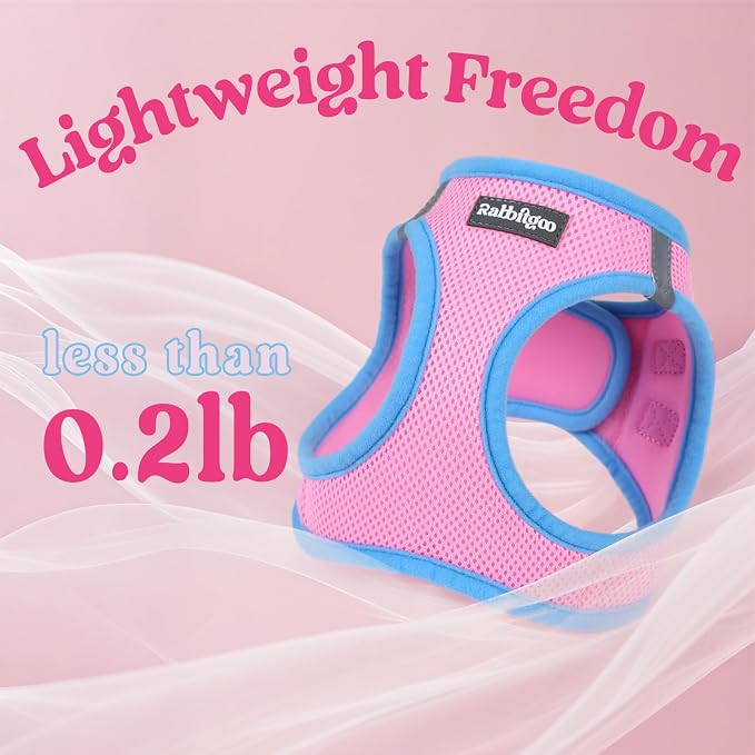 rabbitgoo Dog Harness Small Sized and Leash Set, Step in Soft Vest | Breathable Mesh, Easy Wear with Hook & Loop, Light and Reflective for Walking, Multi-colored, Pink & Blue, S