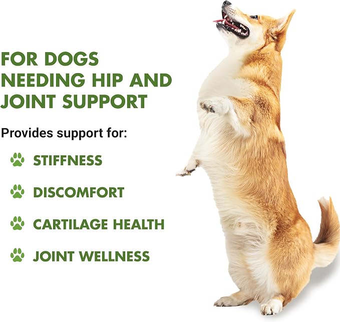 Liquid-Vet K9 Hip & Joint Saver, Chicken, 16 oz