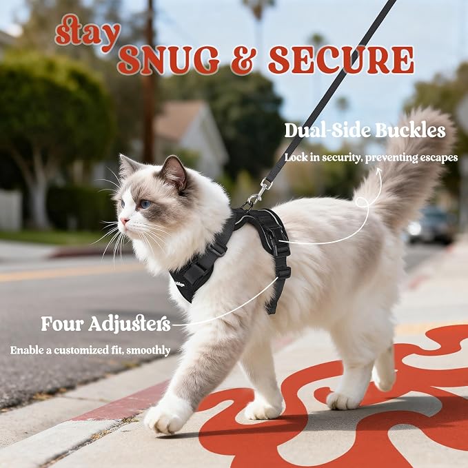 rabbitgoo Cat Harness and Leash Set, Escape Proof Vest, Black | Soft Breathable Mesh, Easy Adjustable Fit, Snap Buckles, Sturdy Clip, Reflective Strips, for Medium to Large Cats Walks, M