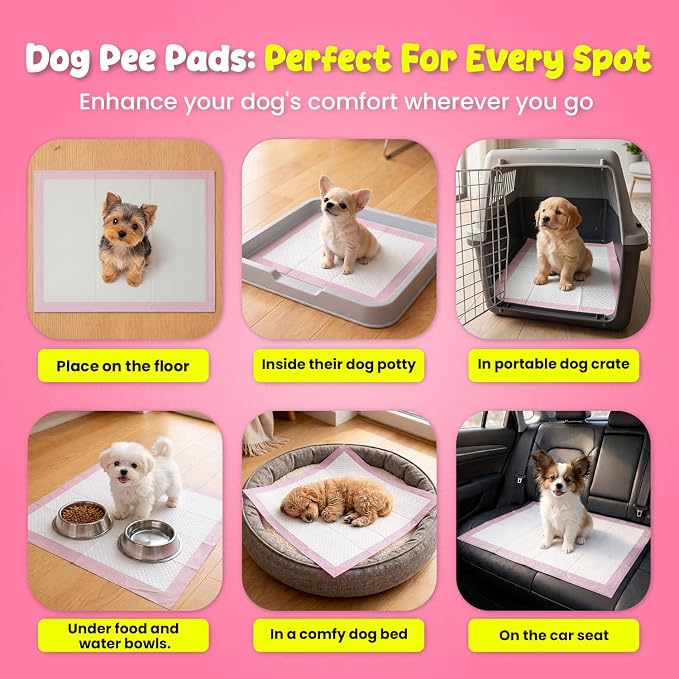 FPN Puppy Pads for Dogs 100 Count Pink Small 13X18 Inch | Disposable Pee Pads for Puppies & Small Dogs | Pet Training Pads for Potty Training, Small Dog Pee Pads, Puppy Pads Bulk