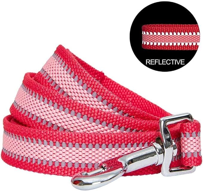 Blueberry Pet Essentials Reflective Dog Leash, Puppy Essentials, Gentle Leader for Dogs, French Pink, 4ft x 1in, Large, Durable Polyester, Dog Products, Leashes for Large Dogs Heavy Duty