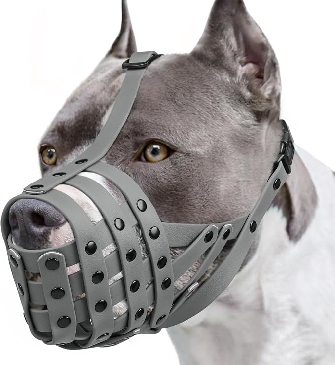 Pitbull Dog Muzzle for Large Medium Dogs Prevent Biting Scavenging | Fits Rottweiler Amstaff Broad-nosed Breed, Sturdy Breathable Basket, Training Walking Use, Allows to Drink | Grey, M