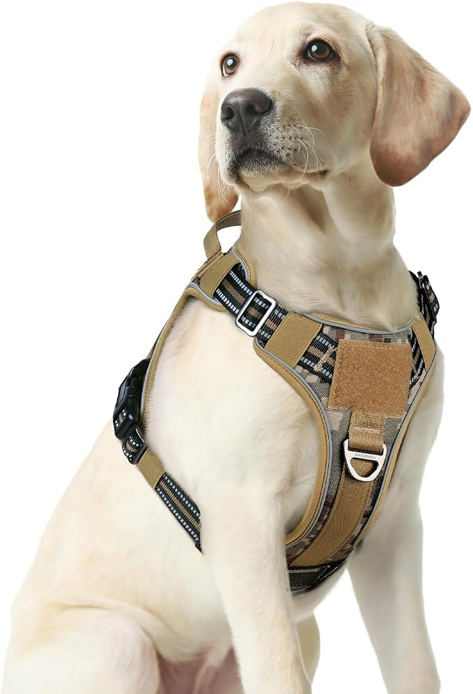 rabbitgoo Tactical Dog Harness Medium Sized, No Pull Service Pet Vest | Military Molle System & Easy Control Handle, Adjustable and Reflective for Walking and Training, Desert Camo, Medium