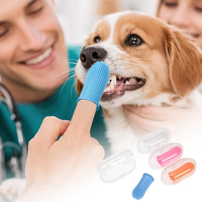 Patty Both Pet Dental Finger Toothbrush, Silicone Dog Teeth Cleaning Brushes, Multi-Color 4-Pack, 2 Inch Length