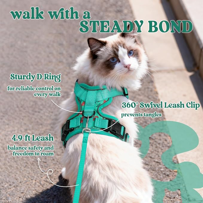 rabbitgoo Cat Harness and Leash Set, Escape Proof Vest, Cherry Grove | Soft Breathable Mesh, Easy Adjustable Fit, Snap Buckles, Sturdy Clip, Reflective Strips, for Kittens & Small Cats Walks, Xxs