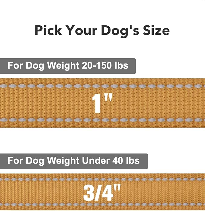 Taglory Reflective Dog Leash for Small Dogs, 3/4in x 4ft, Tan | Ideal for Night Walking, Strong for Sudden Pulls, Lightweight & Gentle on the Neck, Soft Padded Handle