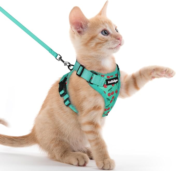 rabbitgoo Cat Harness and Leash Set, Escape Proof Vest, Cherry Grove | Soft Breathable Mesh, Easy Adjustable Fit, Snap Buckles, Sturdy Clip, Reflective Strips, for Kittens & Small Cats Walks, Xxs