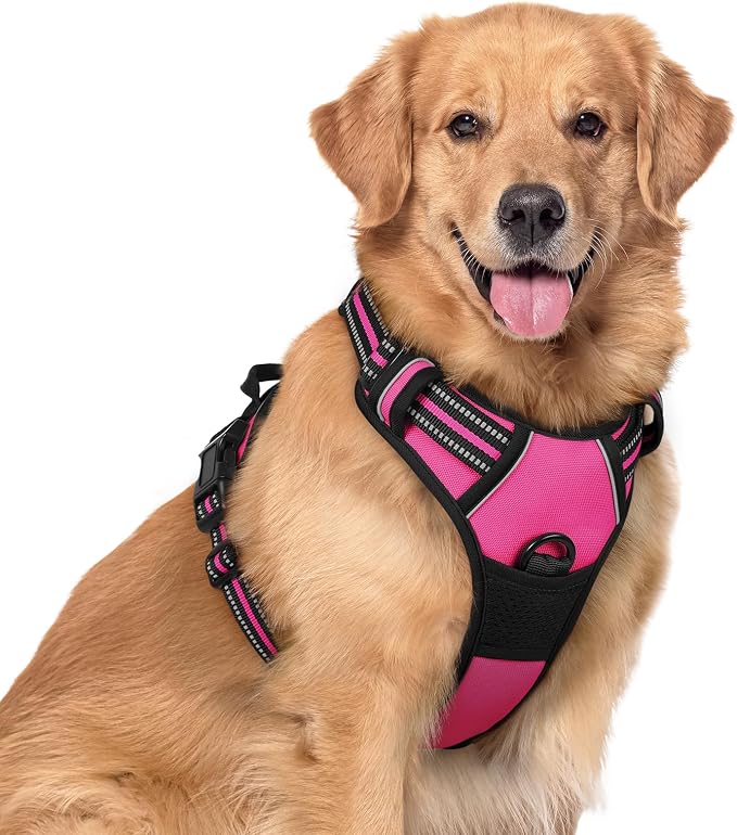 rabbitgoo Dog Harness, No Pull for Large Dogs with 2 Leash Clips, Pet Vest | No Choke with Handle, Adjustable Soft Padded, Reflective, Easy Control for Walking, Hot Pink, X-Large
