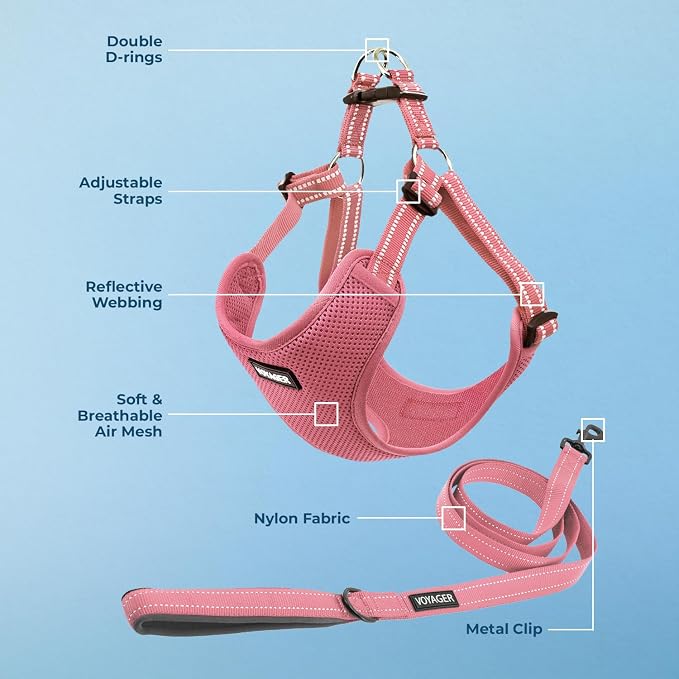 Best Pet Supplies Voyager Adjustable Step-in Flex Breathable Mesh Dog Harness for Small Medium Large Dogs Leash Set (Pink), XS