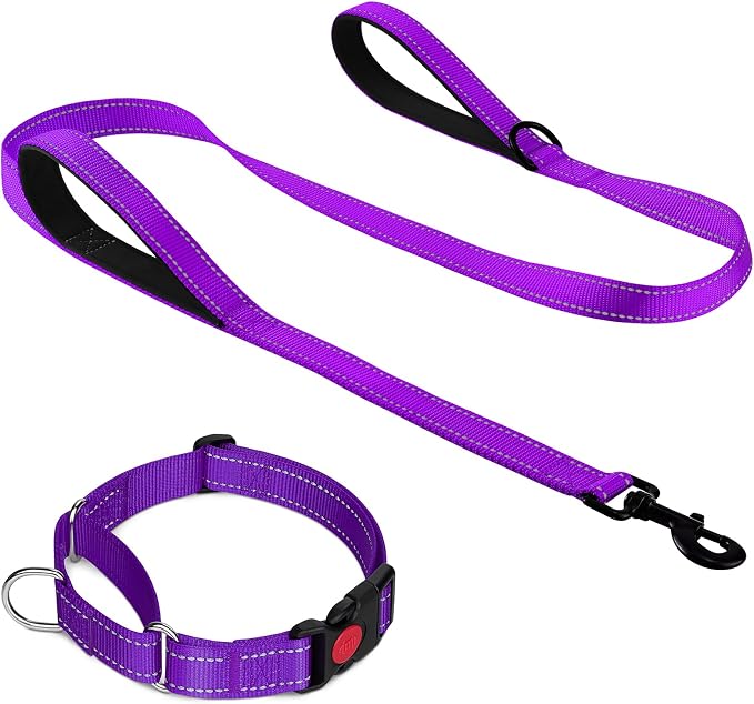Joytale Martingale Dog Collar(16-20"), 6FT Double Handle Dog Leash for Training,Purple