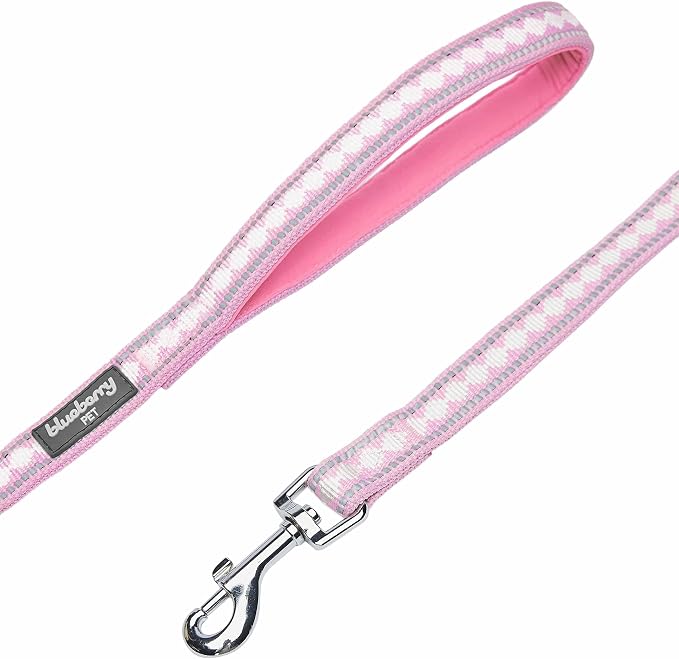 Blueberry Pet 3M Reflective Jacquard Dog Leash with Soft & Comfortable Handle, 5 ft x 5/8", Pink, Small, Leashes for Dogs