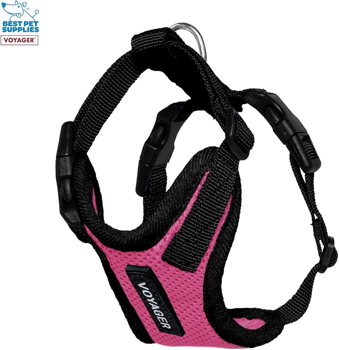 Best Pet Supplies Voyager Step-in Lock Pet Harness w Reflective Pet Leash Combo Set with Neoprene Handle 5ft - Supports Small, Medium and Large Breed Puppies/Cats - Fuchsia/Black Trim, XXXS