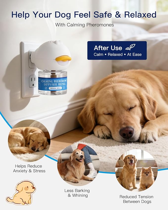 Accecraft Dog Calming Diffuser Kit