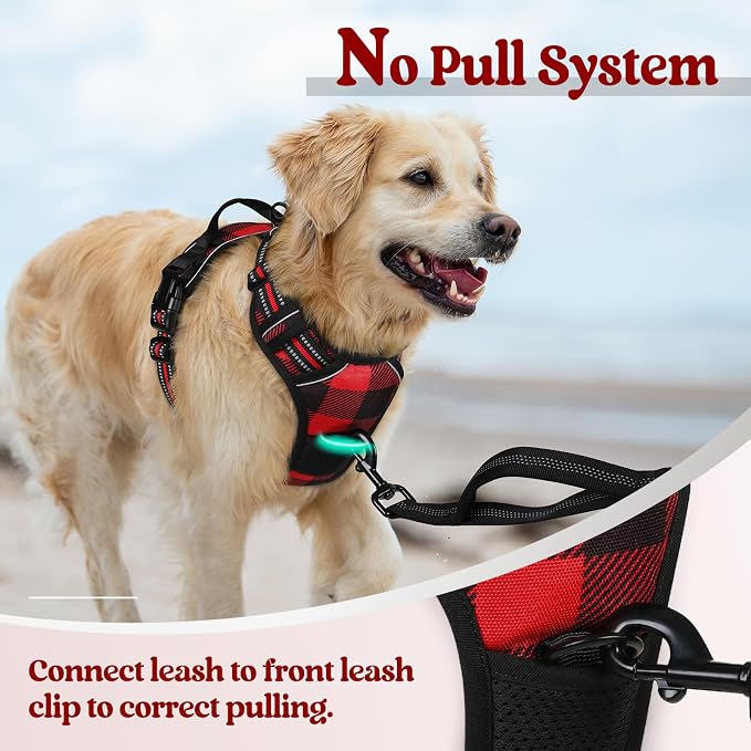 rabbitgoo Dog Harness, No Pull for Large Dogs with 2 Leash Clips, Pet Vest | No Choke with Handle, Adjustable Soft Padded, Reflective, Easy Control for Walking, Red Plaid, Small