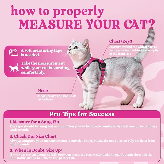 rabbitgoo Cat Harness and Leash Set, Escape Proof Vest, Rose Red | Soft Breathable Mesh, Easy Adjustable Fit, Snap Buckles, Sturdy Clip, Reflective Strips, for Small & Average Cats Walks, Xs