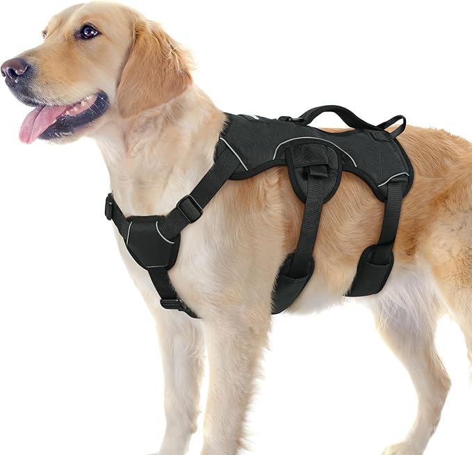 rabbitgoo Escape Proof Dog Harness for Large, No Pull with Lift Handle | No Escape, Full Soft Padded, Reflective Adjustable Vest, Leash Clip for Walking Hiking Training, Black, Large
