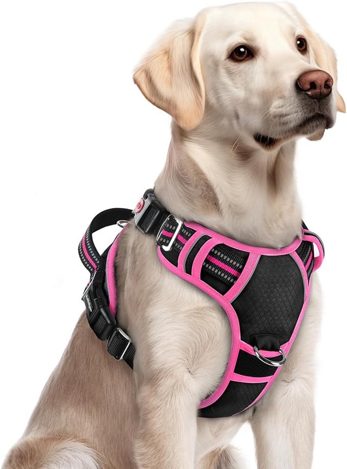 rabbitgoo Dog Harness for Large, No Pull 3 Buckles Easy On & Off | Soft Padded, Walking with Control Handle, Adjustable and Reflective, Black & Pink, Large