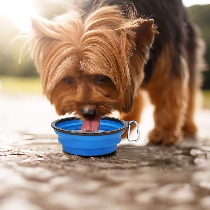 Kytely Large Collapsible Dog Bowls, 2 Pack, 34oz, Black+Blue