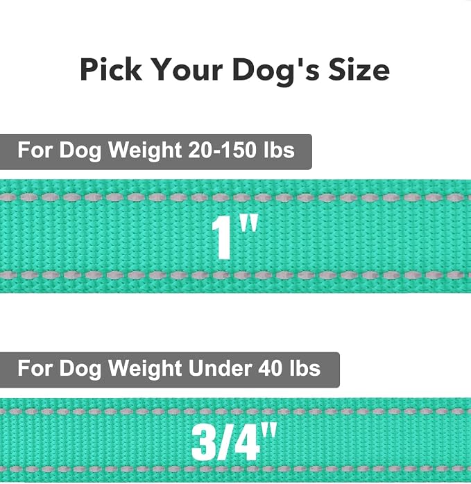 Taglory Reflective Dog Leash for Small Dogs, 3/4in x 4ft, Turquoise | Ideal for Night Walking, Strong for Sudden Pulls, Lightweight & Gentle on the Neck, Soft Padded Handle